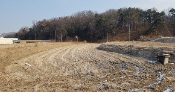 충청남도 천안시 동남구 목천읍 운전리 282 답 경매 물건 이미지