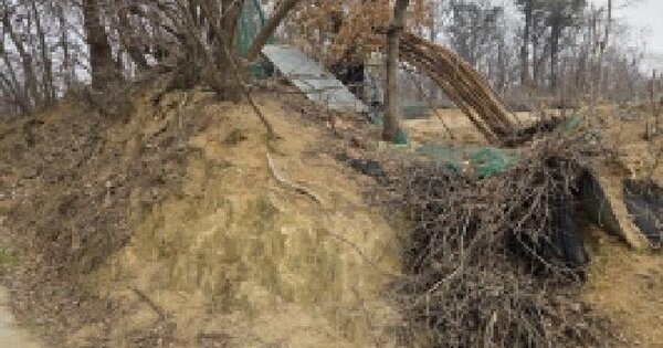 충청남도 천안시 서북구 직산읍 마정리 산26-1 임야 경매 물건 이미지
