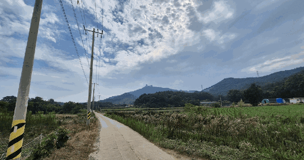충청남도 서산시 대산읍 운산리 산168-61 임야 경매 물건 이미지