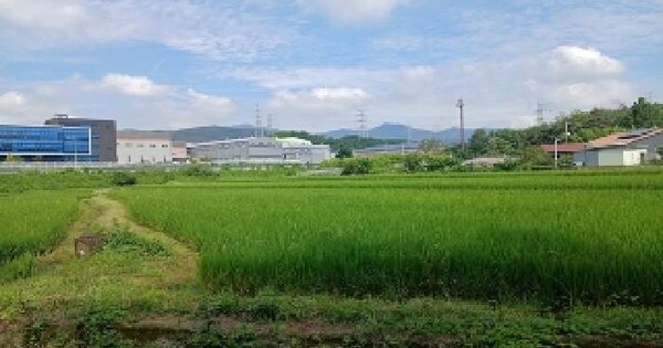 부산광역시 기장군 장안읍 명례리 105-5 답 경매 물건 이미지