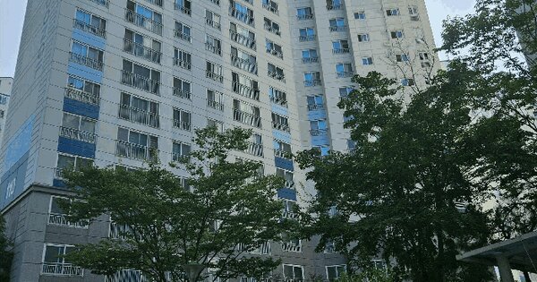 경상남도 양산시 물금읍 가촌리 720 양산물금동일스위트 110동 2층206호 아파트 경매 물건 이미지