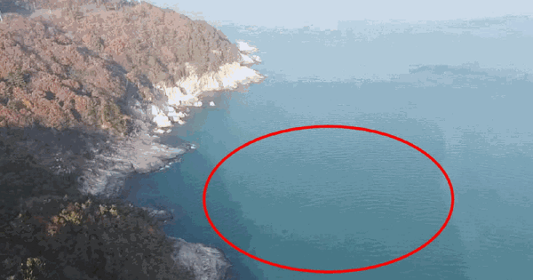 경상남도 거제시 동부면 학동리 지선  어업권 경매 물건 이미지