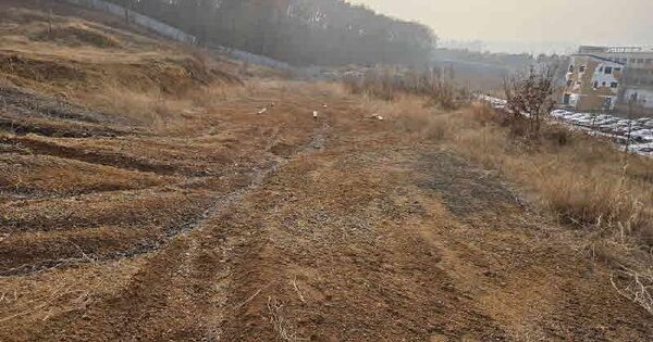 경기도 용인시 처인구 포곡읍 둔전리 78-47 대지 경매 물건 이미지