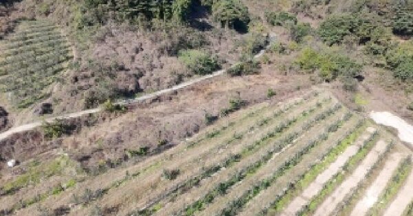 경상남도 거창군 고제면 궁항리 1186 전 경매 물건 이미지