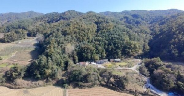 경상남도 거창군 고제면 궁항리 산150 임야 경매 물건 이미지