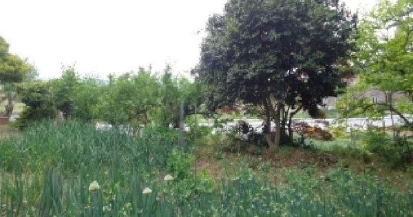 충청남도 서산시 부석면 창리 281-3 전 경매 물건 이미지