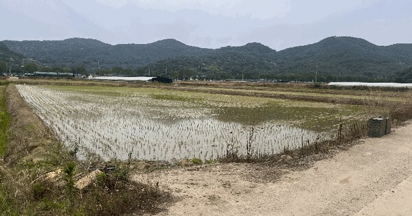경상남도 밀양시 부북면 가산리 187 답 경매 물건 이미지