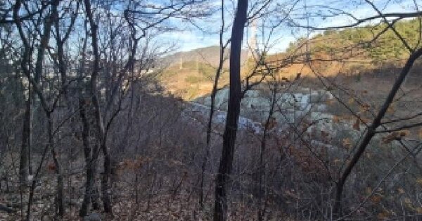 경상남도 창원시 성산구 천선동 산136 임야 경매 물건 이미지