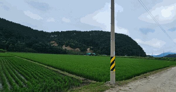 경상남도 거제시 동부면 산촌리 498 답 경매 물건 이미지