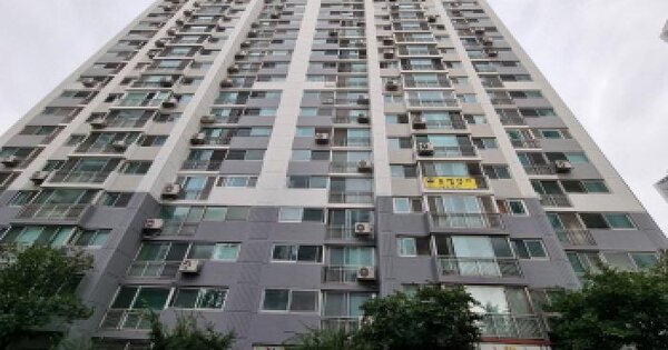 대전광역시 서구 관저동 1148 구봉마을8-1단지 804동 11층1101호 아파트 경매 물건 이미지