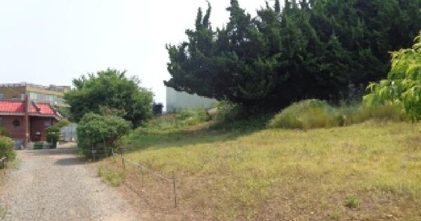충청남도 태안군 안면읍 승언리 532-2 전 경매 물건 이미지