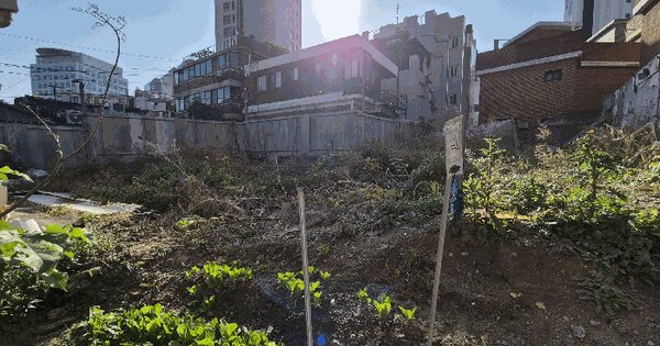 서울특별시 용산구 원효로3가160 대지 경매 물건 이미지