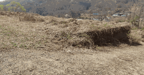 경기도 여주시 산북면 주어리 362-1 임야 경매 물건 이미지