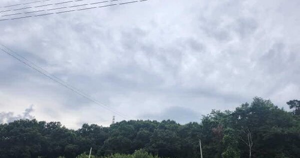 경기도 용인시 처인구 남동 산65 임야 경매 물건 이미지