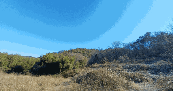 경상남도 사천시 곤명면 작팔리 산60 임야 경매 물건 이미지