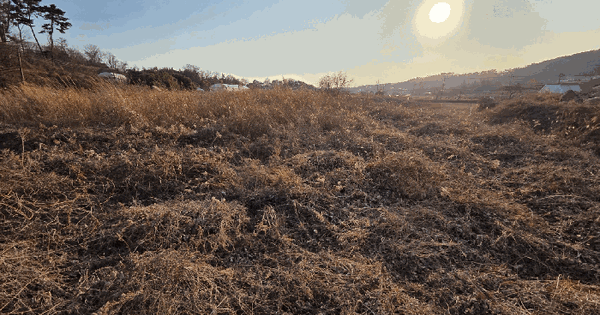 울산광역시 울주군 서생면 위양리 730 답 경매 물건 이미지
