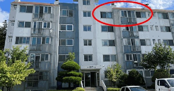 경기도 시흥시 정왕동 1886-4 서해2차아파트 217동 5층502호 아파트 경매 물건 이미지