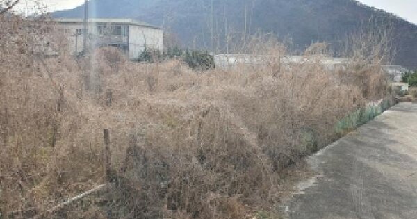 경상남도 김해시 한림면 안곡리 99 대지 경매 물건 이미지
