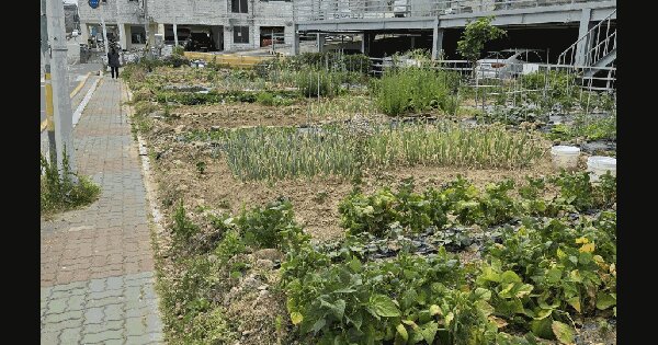 경상남도 김해시 외동 252-1 대지 경매 물건 이미지