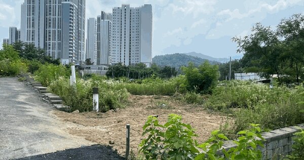 강원특별자치도 원주시 판부면 서곡리 440-31 임야 경매 물건 이미지