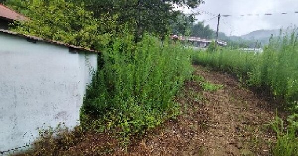 충청남도 보령시 미산면 내평리 192-2 답 경매 물건 이미지