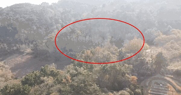 경상남도 거제시 사등면 창호리 306 전 경매 물건 이미지
