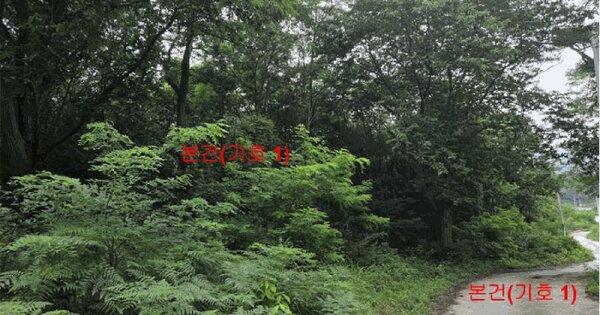 경상남도 거창군 거창읍 동변리 산98 임야 경매 물건 이미지