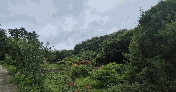 경기도 광주시 퇴촌면 도수리 산35 임야 경매 물건 이미지