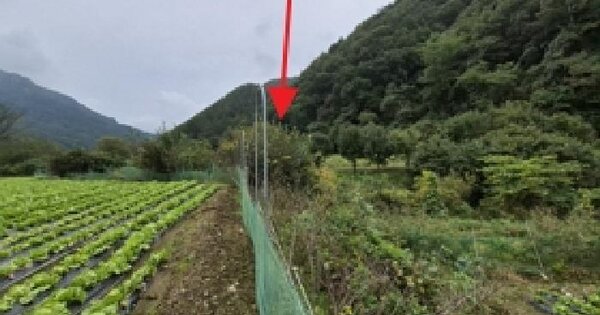 강원특별자치도 횡성군 청일면 속실리 286-2 전 경매 물건 이미지