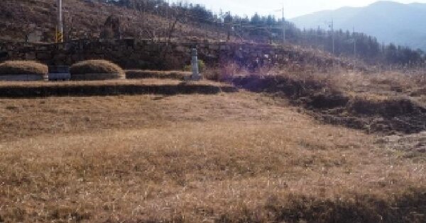 경상남도 밀양시 산내면 임고리 1568-1 전 경매 물건 이미지