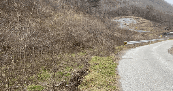 강원특별자치도 정선군 신동읍 운치리 922 전 경매 물건 이미지