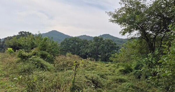 대구광역시 군위군 부계면 창평리 620-2 전 경매 물건 이미지