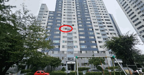 경기도 안성시 원곡면 반제리 743 산수화아파트 102동 8층803호 아파트 경매 물건 이미지