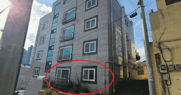 대전광역시 동구 판암동 568-5  2층202호 다세대주택 경매 물건 이미지