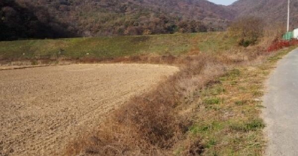 경상남도 밀양시 초동면 봉황리 1115-2 답 경매 물건 이미지