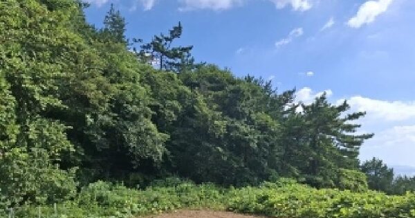 경상남도 남해군 서면 작장리 산123 임야 경매 물건 이미지