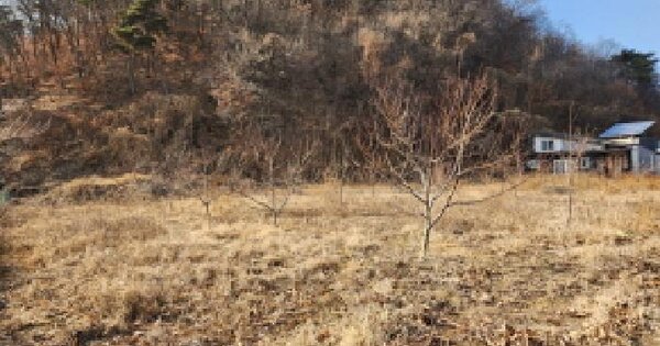 경상북도 영천시 서산동 517-4 전 경매 물건 이미지