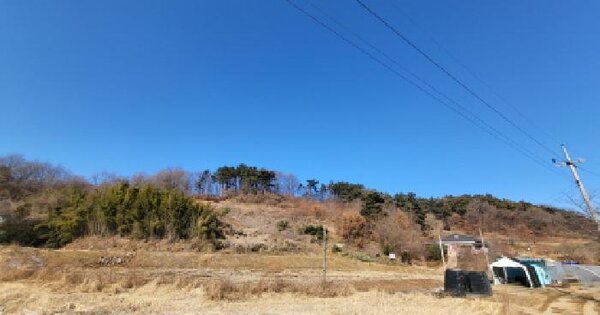 충청남도 당진시 송산면 당산리 산97 임야 경매 물건 이미지