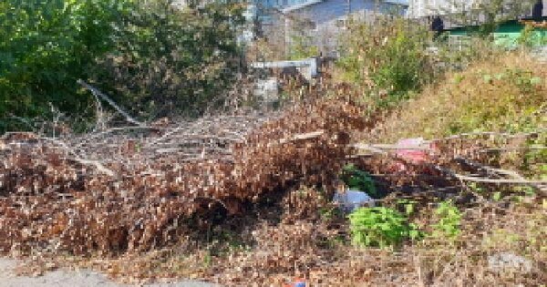 경기도 김포시 고촌읍 신곡리 403-14 대지 경매 물건 이미지
