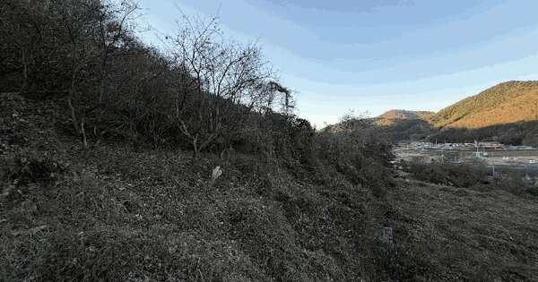 경상남도 의령군 지정면 봉곡리 940 전 경매 물건 이미지