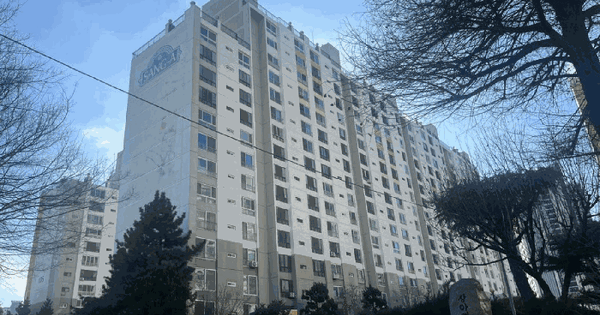 대구광역시 남구 이천동 650 보성상아 102동 2층205호 아파트 경매 물건 이미지