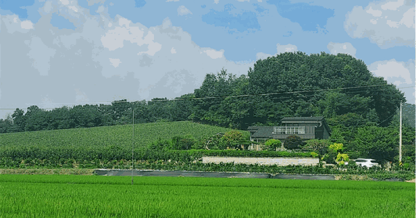 경기도 이천시 부발읍 죽당리 1073-43 전 경매 물건 이미지