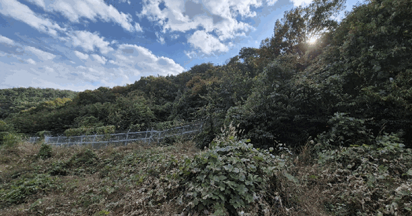 경상북도 경산시 와촌면 소월리 산154 임야 경매 물건 이미지