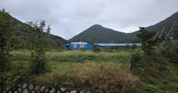 경상북도 청도군 금천면 동곡리 197-2 답 경매 물건 이미지