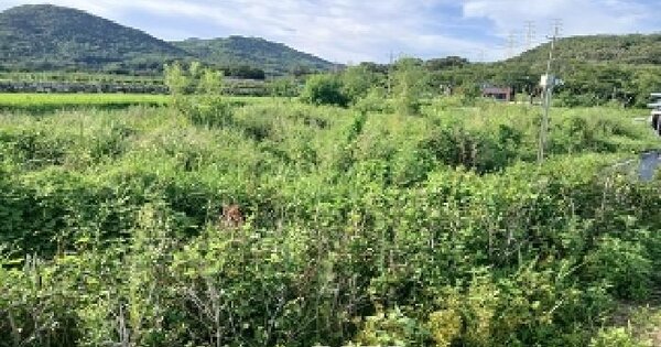 부산광역시 기장군 장안읍 장안리 276 답 경매 물건 이미지