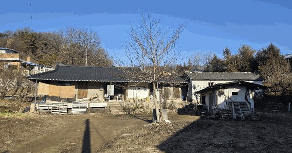 경기도 남양주시 진접읍 팔야리 681-2 대지 경매 물건 이미지