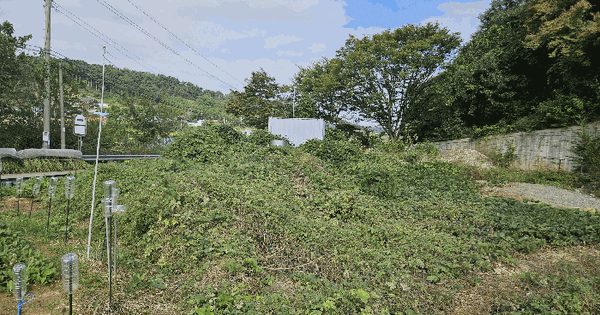 충청남도 당진시 송산면 송석리 307-2 전 경매 물건 이미지