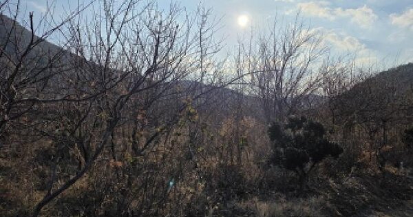 경상북도 청도군 매전면 관하리 1276-2 전 경매 물건 이미지