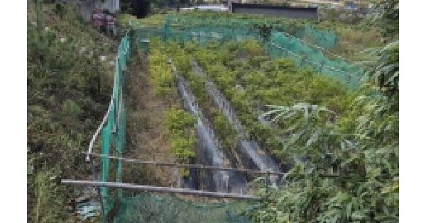 울산광역시 울주군 온양읍 삼광리 875-1 임야 경매 물건 이미지