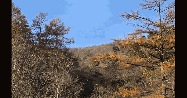전북특별자치도 임실군 강진면 필봉리 922-1 전 경매 물건 이미지